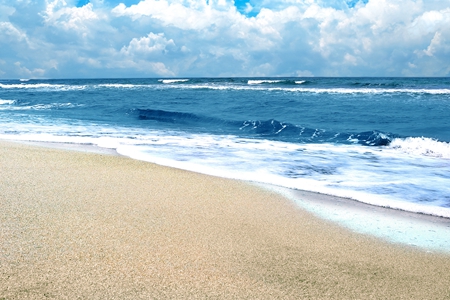 海邊 護(hù)照移民