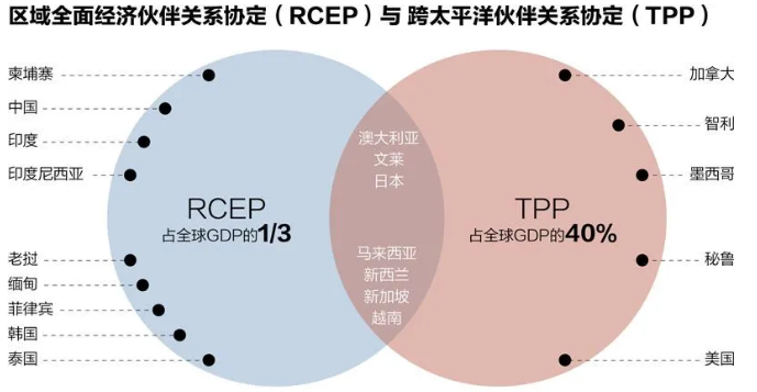 自貿區 移民